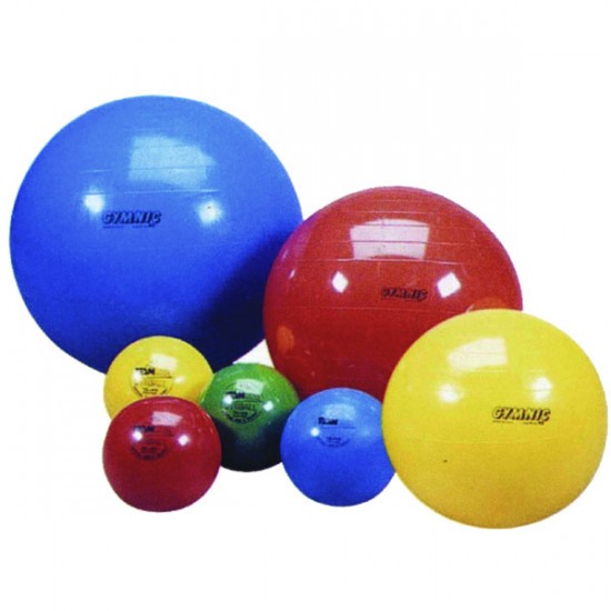 Stability Ball (Gymnic)